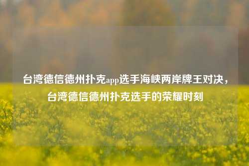 台湾德信德州扑克app选手海峡两岸牌王对决，台湾德信德州扑克选手的荣耀时刻