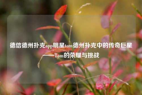 德信德州扑克app明星tom德州扑克中的传奇巨星——Tom的荣耀与挑战
