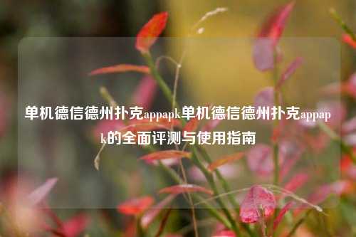 单机德信德州扑克appapk单机德信德州扑克appapk的全面评测与使用指南