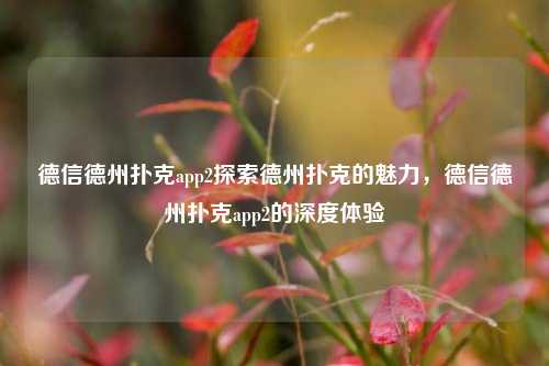 德信德州扑克app2探索德州扑克的魅力，德信德州扑克app2的深度体验