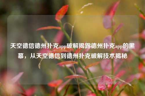 天空德信德州扑克app破解揭露德州扑克app的黑幕，从天空德信到德州扑克破解技术揭秘