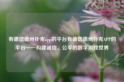 有德信德州扑克app的平台有德信德州扑克APP的平台——构建诚信、公平的数字游戏世界