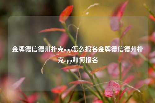 金牌德信德州扑克app怎么报名金牌德信德州扑克app如何报名