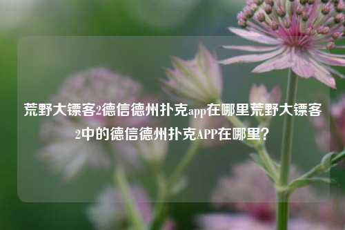 荒野大镖客2德信德州扑克app在哪里荒野大镖客2中的德信德州扑克APP在哪里？