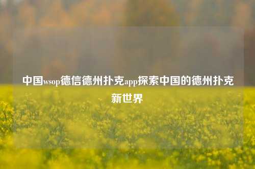 中国wsop德信德州扑克app探索中国的德州扑克新世界