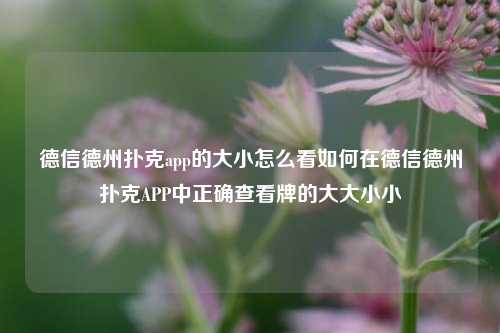 德信德州扑克app的大小怎么看如何在德信德州扑克APP中正确查看牌的大大小小