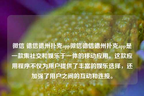 微信 德信德州扑克app微信德信德州扑克app是一款集社交和娱乐于一体的移动应用。这款应用程序不仅为用户提供了丰富的娱乐选择，还加强了用户之间的互动和连接。