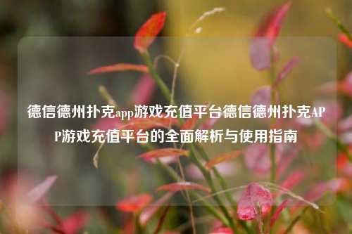 德信德州扑克app游戏充值平台德信德州扑克APP游戏充值平台的全面解析与使用指南