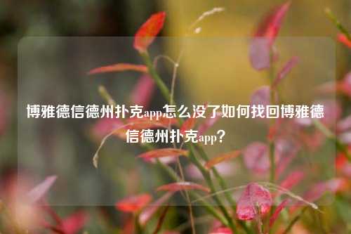 博雅德信德州扑克app怎么没了如何找回博雅德信德州扑克app？