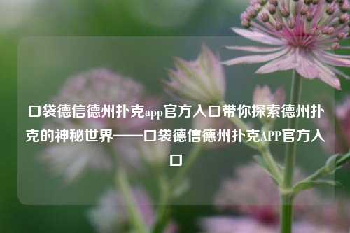 口袋德信德州扑克app官方入口带你探索德州扑克的神秘世界——口袋德信德州扑克APP官方入口
