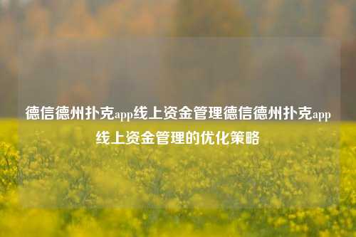德信德州扑克app线上资金管理德信德州扑克app线上资金管理的优化策略