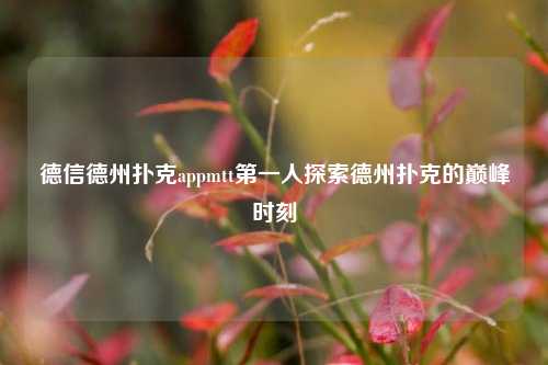 德信德州扑克appmtt第一人探索德州扑克的巅峰时刻