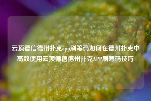 云顶德信德州扑克app刷筹码如何在德州扑克中高效使用云顶德信德州扑克APP刷筹码技巧