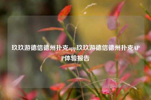 玖玖游德信德州扑克app玖玖游德信德州扑克APP体验报告