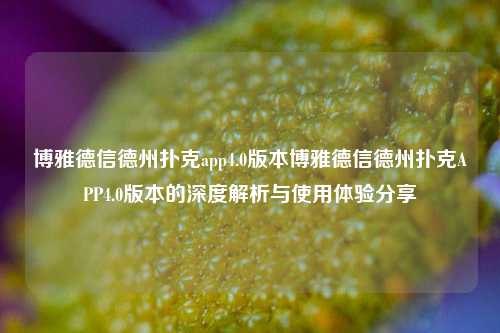 博雅德信德州扑克app4.0版本博雅德信德州扑克APP4.0版本的深度解析与使用体验分享