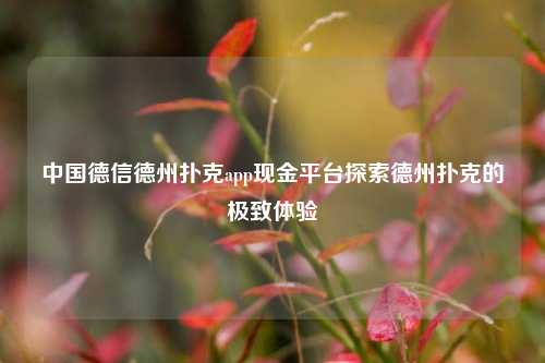 中国德信德州扑克app现金平台探索德州扑克的极致体验