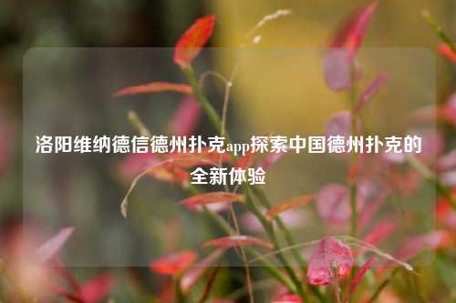 洛阳维纳德信德州扑克app探索中国德州扑克的全新体验