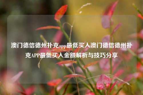 澳门德信德州扑克app最低买入澳门德信德州扑克APP最低买入金额解析与技巧分享