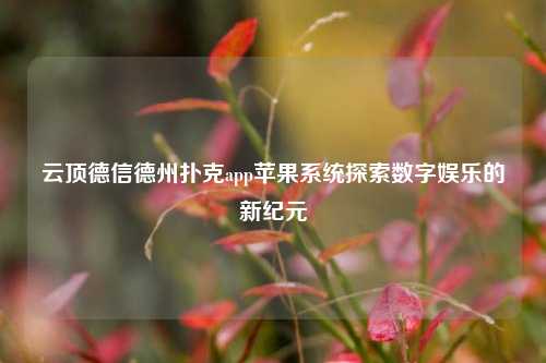 云顶德信德州扑克app苹果系统探索数字娱乐的新纪元