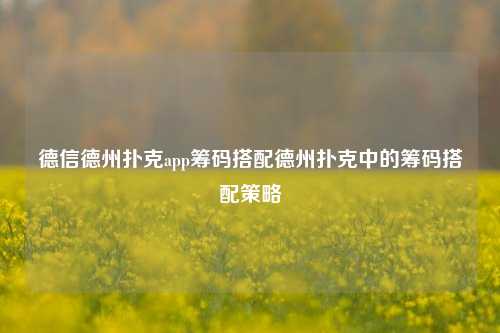 德信德州扑克app筹码搭配德州扑克中的筹码搭配策略
