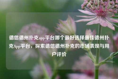 德信德州扑克app平台哪个最好选择最佳德州扑克App平台，探索德信德州扑克的市场表现与用户评价