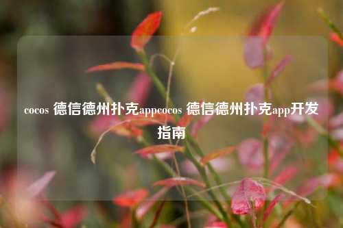 cocos 德信德州扑克appcocos 德信德州扑克app开发指南
