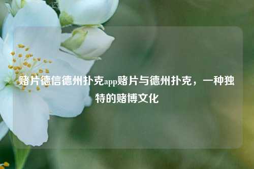 赌片德信德州扑克app赌片与德州扑克，一种独特的赌博文化