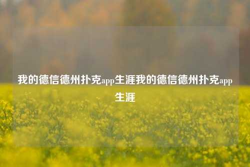 我的德信德州扑克app生涯我的德信德州扑克app生涯