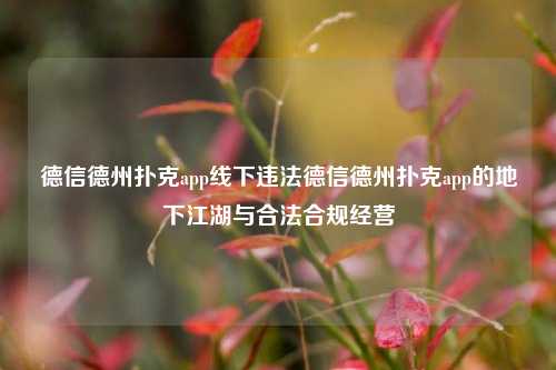 德信德州扑克app线下违法德信德州扑克app的地下江湖与合法合规经营