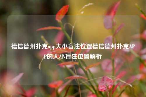 德信德州扑克app大小盲注位置德信德州扑克APP的大小盲注位置解析