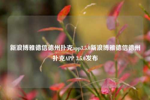 新浪博雅德信德州扑克app3.5.0新浪博雅德信德州扑克APP 3.5.0发布