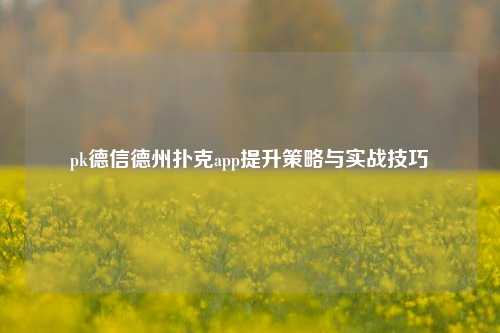 pk德信德州扑克app提升策略与实战技巧