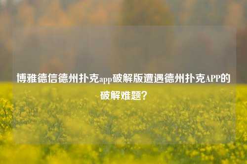 博雅德信德州扑克app破解版遭遇德州扑克APP的破解难题？