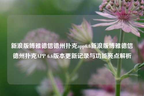 新浪版博雅德信德州扑克app6.6新浪版博雅德信德州扑克APP 6.6版本更新记录与功能亮点解析