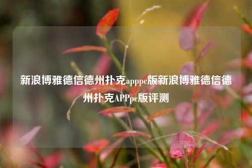 新浪博雅德信德州扑克apppc版新浪博雅德信德州扑克APPpc版评测