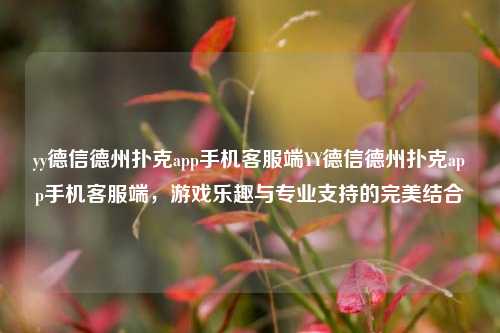 yy德信德州扑克app手机客服端YY德信德州扑克app手机客服端，游戏乐趣与专业支持的完美结合