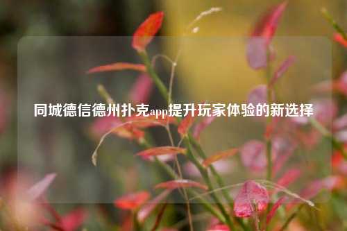 同城德信德州扑克app提升玩家体验的新选择