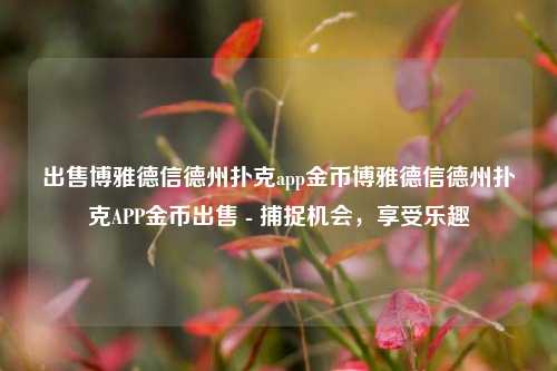 出售博雅德信德州扑克app金币博雅德信德州扑克APP金币出售 - 捕捉机会，享受乐趣