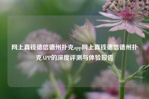 网上真钱德信德州扑克app网上真钱德信德州扑克APP的深度评测与体验报告