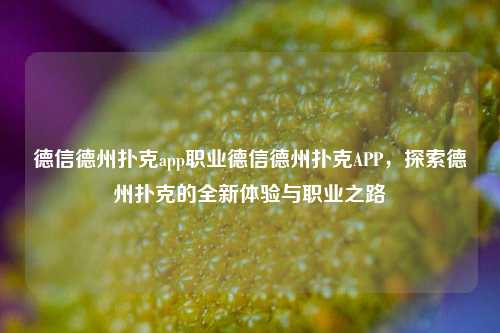 德信德州扑克app职业德信德州扑克APP，探索德州扑克的全新体验与职业之路