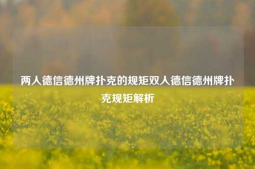 两人德信德州牌扑克的规矩双人德信德州牌扑克规矩解析