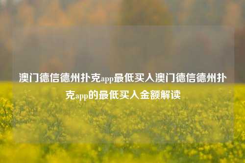 澳门德信德州扑克app最低买入澳门德信德州扑克app的最低买入金额解读
