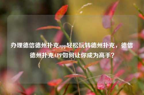 办理德信德州扑克app轻松玩转德州扑克，德信德州扑克APP如何让你成为高手？