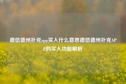 德信德州扑克app买入什么意思德信德州扑克APP的买入功能解析