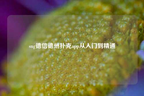 sng德信德州扑克app从入门到精通