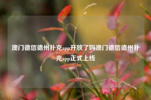 澳门德信德州扑克app开放了吗澳门德信德州扑克app正式上线