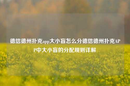 德信德州扑克app大小盲怎么分德信德州扑克APP中大小盲的分配规则详解