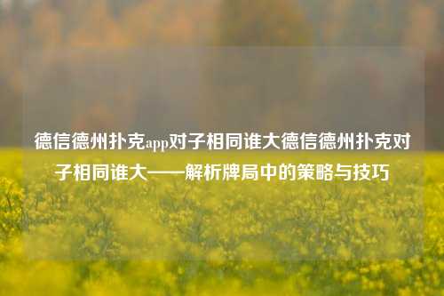 德信德州扑克app对子相同谁大德信德州扑克对子相同谁大——解析牌局中的策略与技巧