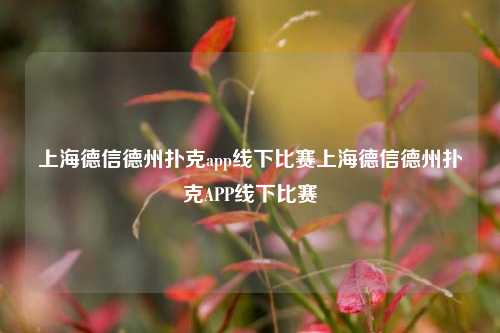 上海德信德州扑克app线下比赛上海德信德州扑克APP线下比赛