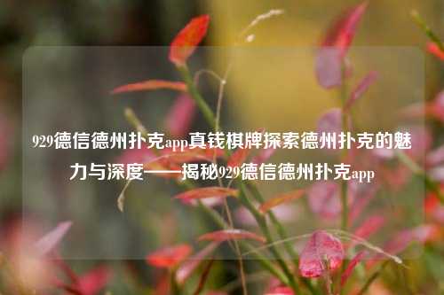 929德信德州扑克app真钱棋牌探索德州扑克的魅力与深度——揭秘929德信德州扑克app